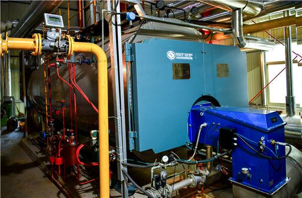 石家莊蒸氣鍋爐廠