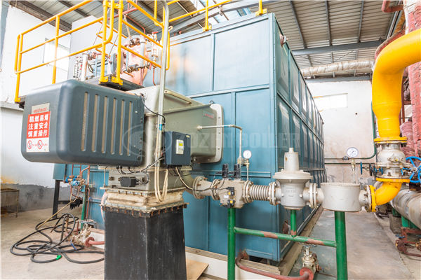 臥式燃?xì)忮仩t最大多少噸