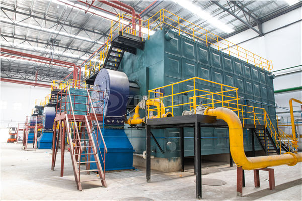 學(xué)校用的WNS燃?xì)忮仩t