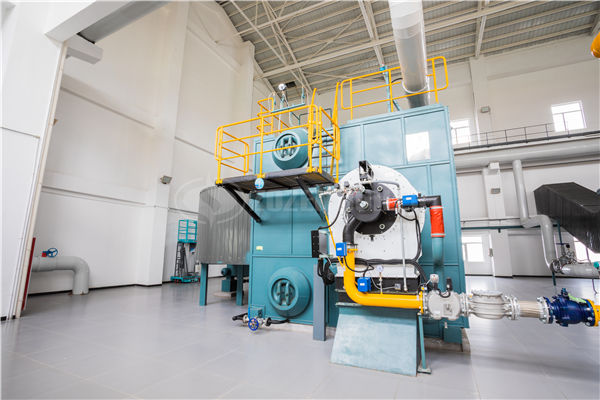 10噸鍋爐價(jià)格