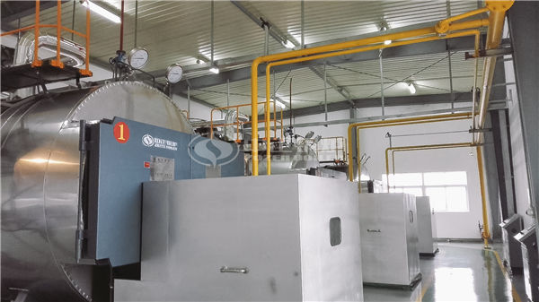 生物質(zhì)鍋爐的種類