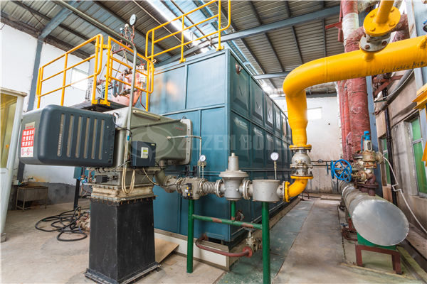 8到12公斤的兩噸燃?xì)庹魵忮仩t