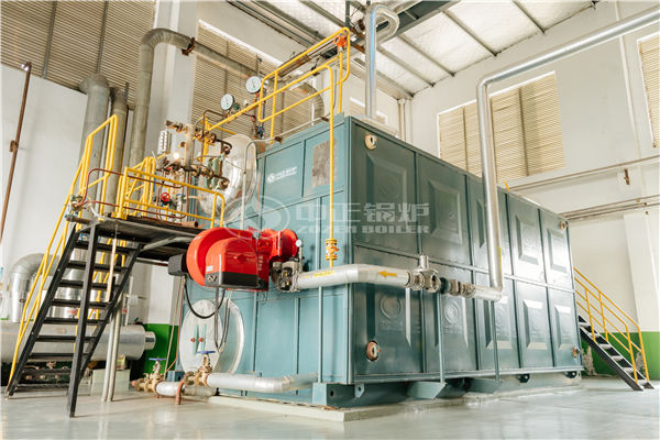 燒生物質顆粒的鍋爐