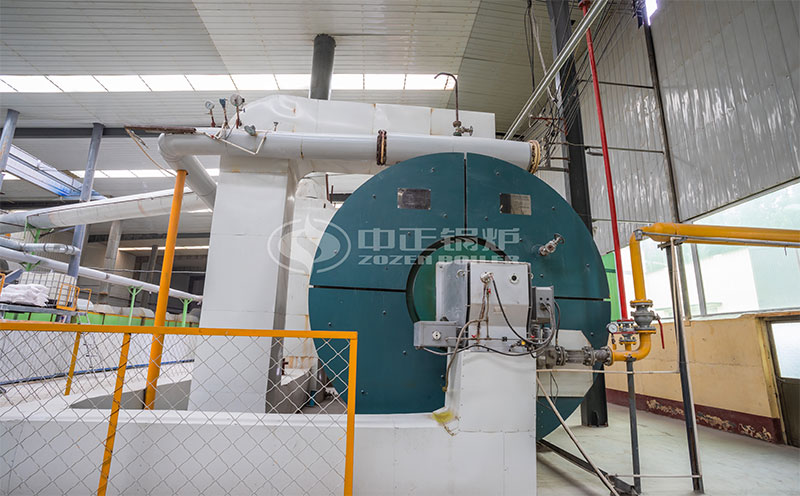 生物質鍋爐多少錢一臺客戶案例圖片