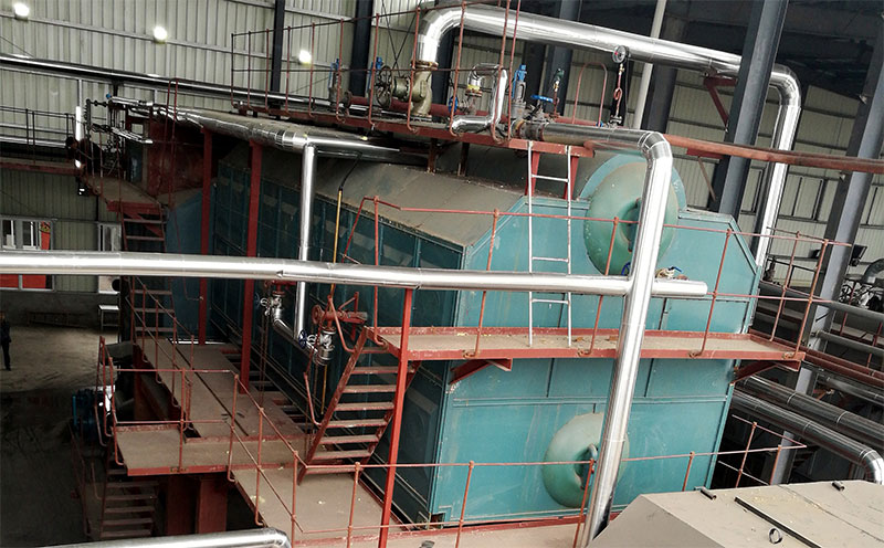 哈爾濱生物質蒸汽鍋爐廠家客戶案例圖片