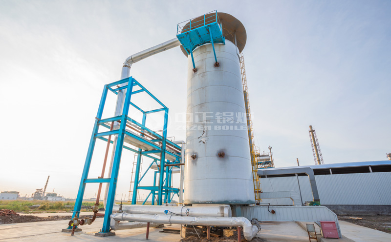 生物質鍋爐多少錢一臺客戶案例圖片