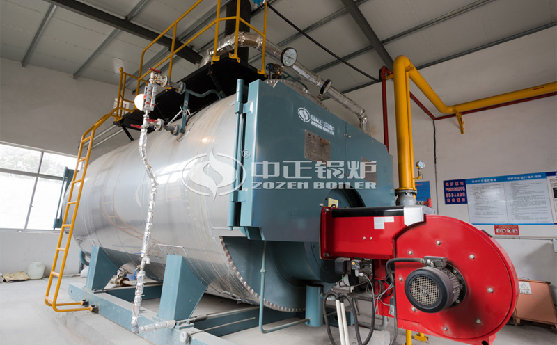 什么是生物質蒸汽鍋爐燒什么燃料?客戶案例圖片