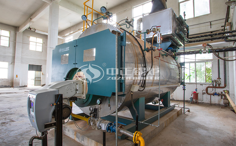 生物質鍋爐多少錢一臺客戶案例圖片